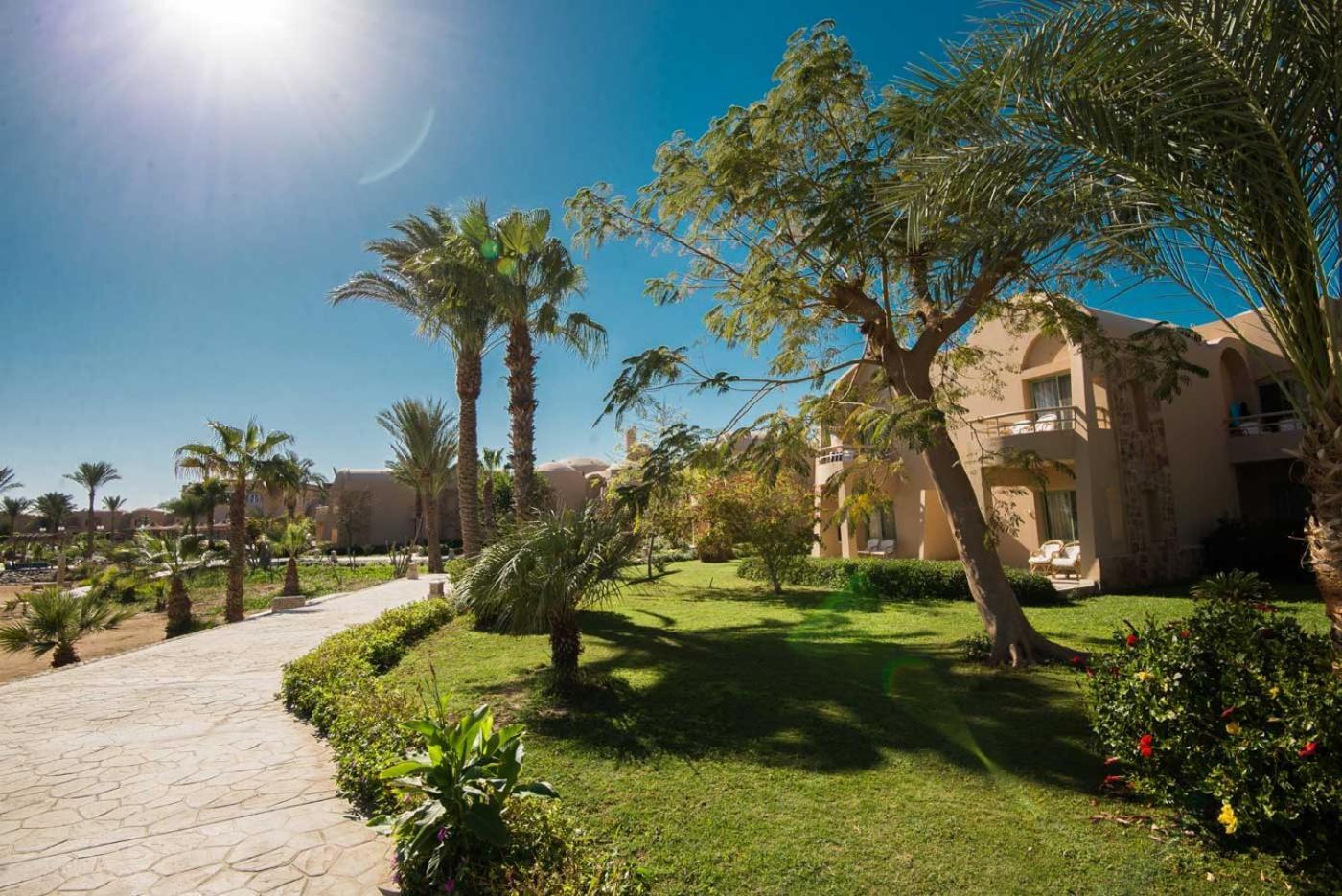 Shams Alam Beach Resort Abū Ghuşūn Exteriör bild