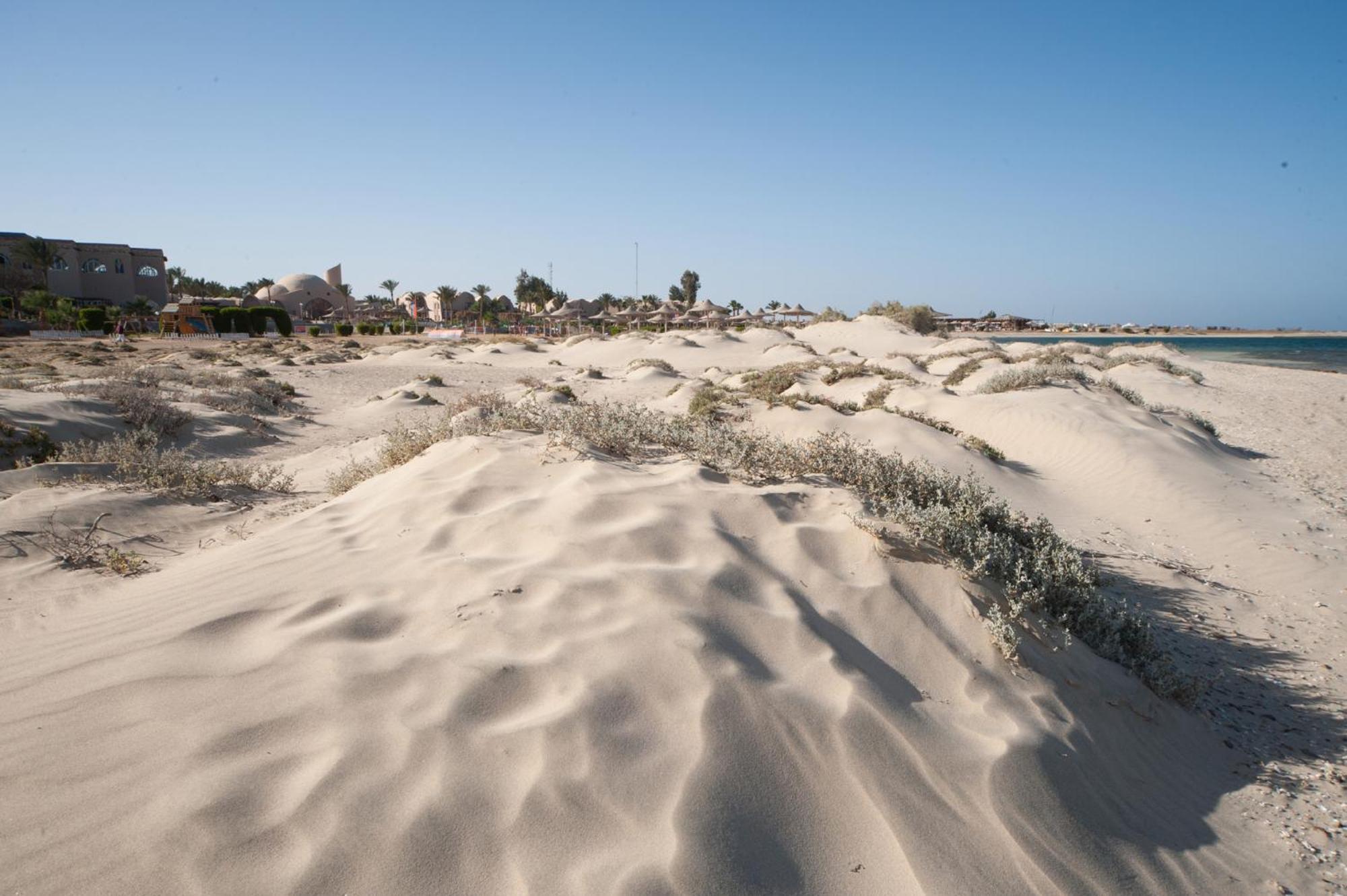 Shams Alam Beach Resort Abū Ghuşūn Exteriör bild