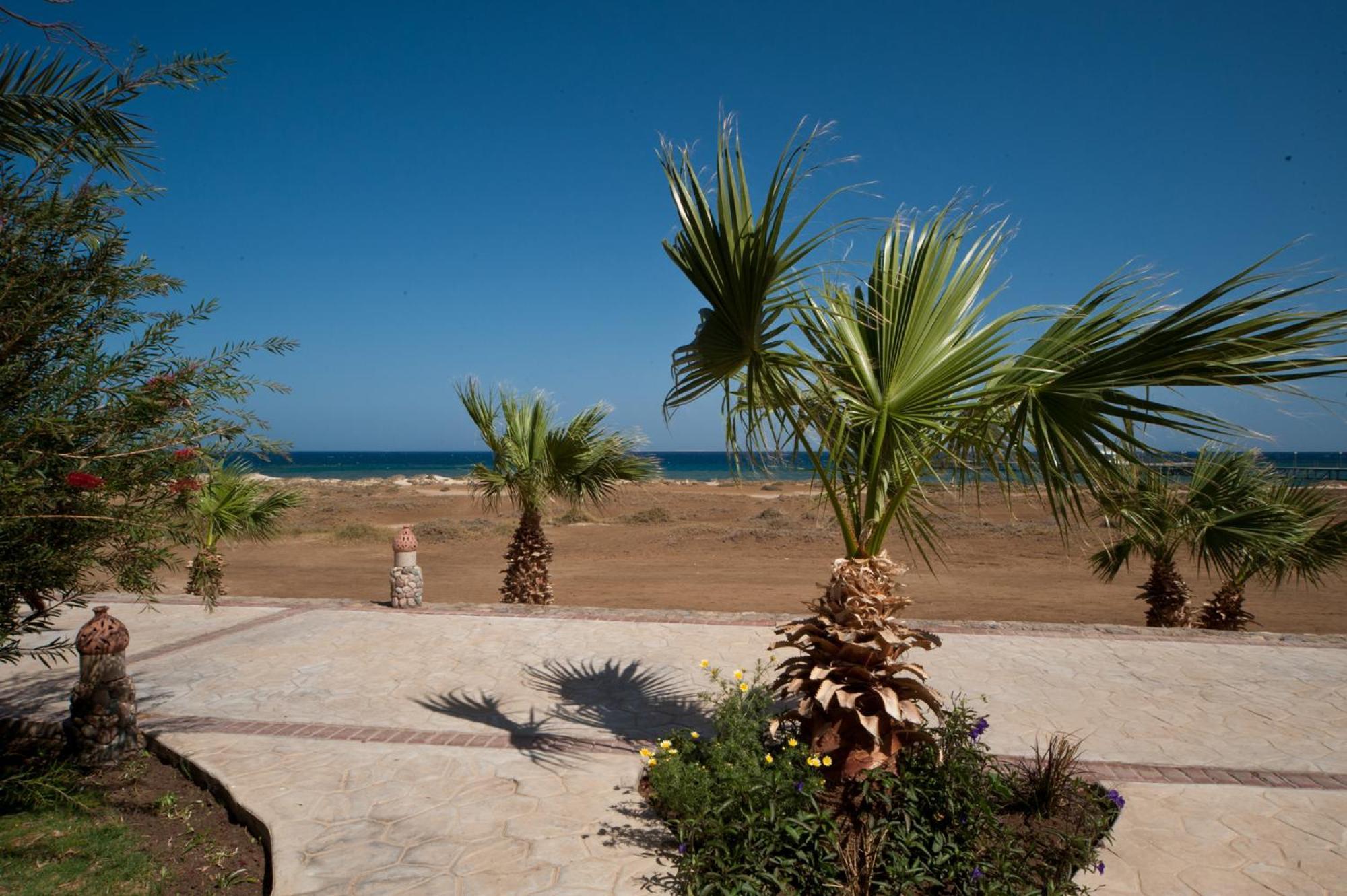 Shams Alam Beach Resort Abū Ghuşūn Exteriör bild