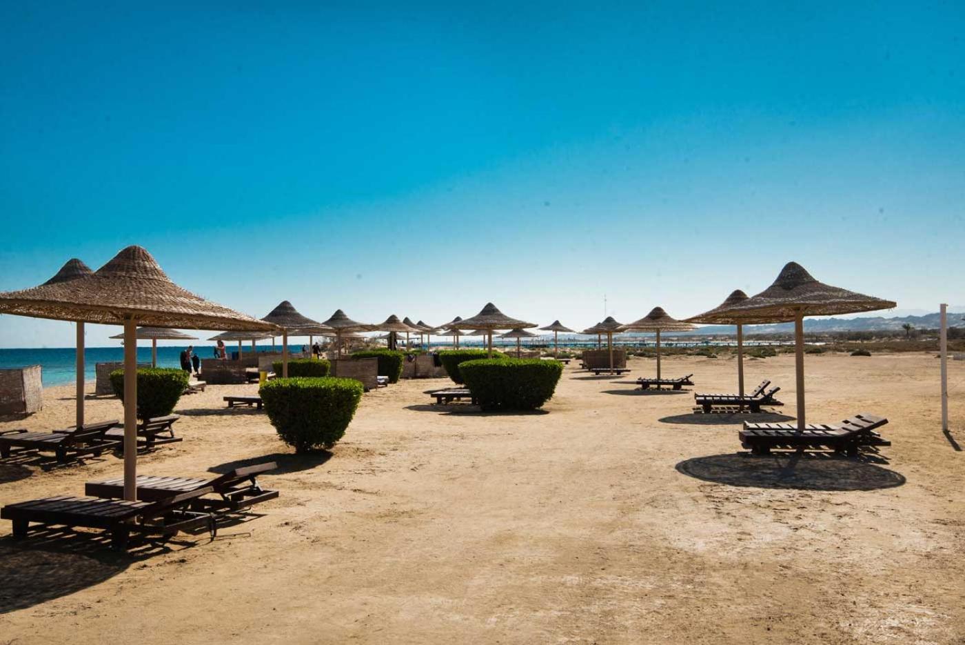 Shams Alam Beach Resort Abū Ghuşūn Exteriör bild